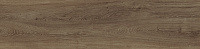 P11400721 Forest Cognac мат. Настенная плитка (22x90)