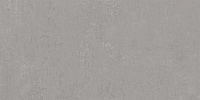 DD203420R Про Фьюче серый обрезной. Универсальная плитка (30x60)