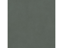 DD173500R Про Чементо зелёный матовый обрезной. Универсальная плитка (40,2x40,2)