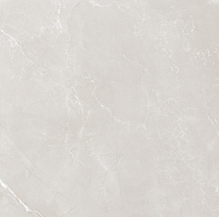 Vitrum Grey серый полированный. Универсальная плитка (60x60)