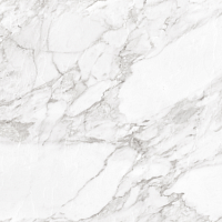 Carrara White Shine RC. Универсальная плитка (60x60)