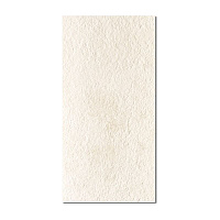 WHITE ROUGH RET. Настенная плитка (30x60)