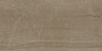 162-006-2 Kontempo Cinnamon. Универсальная плитка (60x120)