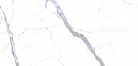 C229800481 Xlight Kala White Polished A. Универсальная плитка (120x250)