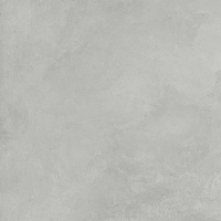 Evolution Smoke светло-серый SG603720R Матовый Карвинг. Универсальная плитка (59,5x59,5)