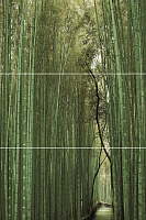 Bambu (из 3-х плиток ) D/E/F. Панно (50x75)