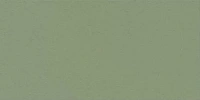 1074144 Chromagic Green Guru Ret мат. Универсальная плитка (60x120)
