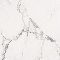 1095G Carrara Classic полир. Универсальная плитка (60x60)