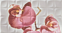 Dec. Orchid C Blanco BLN. Декор (31,6x59,34)