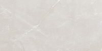 Vitrum Grey серый полированный. Универсальная плитка (60x120)